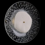 Настенный светильник Crystal Lux CONTESSA AP2.1 (220V, круглые)