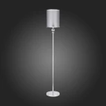 Торшер Evoluce Pazione SLE107105-01