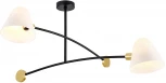 Потолочная люстра на штанге Favourite Statera 3045-2P (220V)