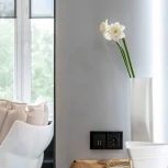 Выключатель двухклавишный с подсветкой (черный матовый) Werkel W1120108 (a051619)