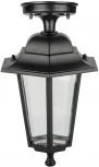 Потолочный светильник уличный Oasis Light PETERSBURG EM 79805EMA Bl (220V, фонарь, IP44)