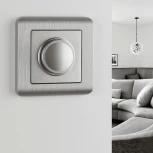 Диммер (серебряный) W1142006 (a051518)