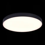 Потолочный светильник круглый ST Luce ST606.432.96 (LED, 220V, круглые)