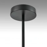 Потолочная люстра на штанге Lumion Torina 8117/12 черный, металл LED GX53 12*7W 220V