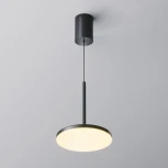 Подвесной светильник Maytoni Plato P076PL-L12W3K-B (LED, 220V, на проводе, круглые)