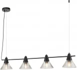 Подвесной светильник Lumion Corne 6595/4A черный/прозрачный, металл/стекло E27 4*60W 220V (на проводе)