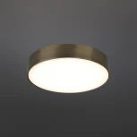 Потолочный светильник круглый Aployt Evon APL.0114.29.24 (LED, 220V, круглые)