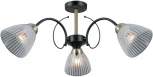 Потолочная люстра на штанге ILLUMICO IL0198-3CSQ-79 BK AB
