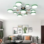 Потолочная люстра на штанге Gamma D102 Green Imperiumloft Gamma01 (223773-23) (LED, 220V, пульт управления, круглые)