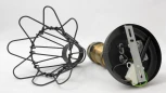 Бра Lussole Loft Centereach LSP-9109 (220V, IP21)