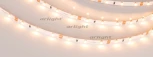 Светодиодная лента Arlight LUX 028616
