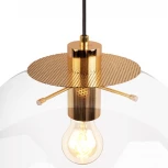 Подвесной светильник Loft It Selene 2033-E (220V, на проводе, шар)