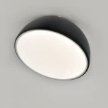 Потолочный светодиодный светильник Escada 20025LED 20025SMA/01LED BK15Вт, 720Лм, 3000-6000К, Ra>80, металл/акрил, черный