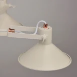 Потолочная люстра MW-Light Таун 691010705