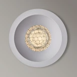 Точечный встраиваемый светильник Arte Lamp Ducre Mini A7093PL-1WH (220V, круглые)