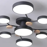 Потолочная люстра с пультом на штанге LED Lu Carte LC-11-1716