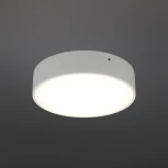 Потолочный светильник круглый Aployt Evon APL.0114.09.18 (LED, 220V, круглые)