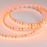 Светодиодная лента Arlight RT 2-5000 015902