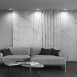 Встраиваемый светильник Pauline GU10 1x10Вт Maytoni Technical DL046-01W (220V, круглые)