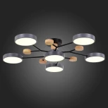 Потолочная люстра на штанге Evoluce Faema SLE6006-702-06