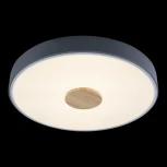 Потолочный светильник круглый Loft IT Axel 10003/24 Grey (LED, 220V, круглые)