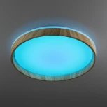 Потолочный светильник RGB круглый светодиодный с пультом Citilux Enzo CL753452G (220V, круглые)