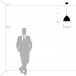 Подвесной светильник Lightstar Agola 810031