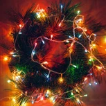 Гирлянда Ardecoled ARD-CURTAIN-HOME 024833