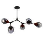 Потолочная люстра на штанге Evoluce Ciotolla SLE113402-05 (220V, шарики)