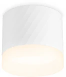 Точечный накладной светильник TECHNO SPOT TN5353 (220V)