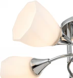 Потолочная люстра на штанге Escada Camellia 664/5P (220V)