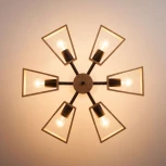 Потолочная люстра Eurosvet Klark 70056/6 черный (220V)