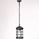 Уличный светильник подвесной Oasis Light 81205 Bl (220V, на цепи, IP44)