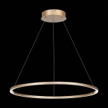 Подвесной светильник ST Luce St605 Down ST605.243.34 (LED, 220V, на тросе, кольцо)