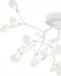 Потолочная люстра Freya Florencia FR5049CL-27W2 (220V, лепестки)