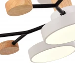 Потолочная люстра на штанге Evoluce Faema SLE6006-502-05