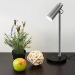 Интерьерная настольная лампа светодиодная Elektrostandard Joel TL70190 a048901