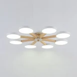 Потолочная люстра Turna 8 White ImperiumLoft Turna01 (178340-26) (LED, 220V)