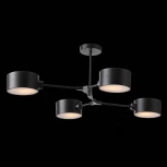 Потолочная люстра на штанге Evoluce Gimento SLE183402-04 (220V)