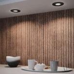 Встроенный точечный светильник APL LED Ingrid 3322.TCH111R/BK (круглые)