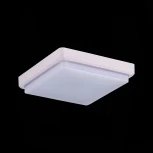 Потолочный светильник Evoluce Taddio SLE200212-01 (LED, 220V)