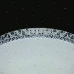 Потолочный светильник круглый Omnilux Biancareddu OML-47707-60 (LED, 220V, пульт управления)