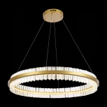 Подвесной светильник ST Luce Cherio SL383.223.01 (LED, 220V, хрусталь, на тросе, кольцо)