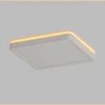 Настенно-потолочный светильник светодиодный с подсветкой Citilux Norma CL748K200 (220V, IP40)