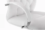Компьютерное кресло Woodville Osiris white / satin chrome 15425