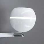 Спот Citilux Раймонд CL555520