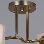 Потолочная люстра на штанге Reluce 06397-0.3-04 COP (220V)