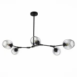 Потолочная люстра Evoluce Rametto SLE154843-05