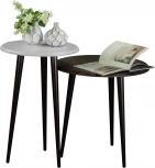 Стол журнальный BeautyStyle 2 дуб дымчатый/венге от фабрики Mebelik