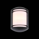 Настенный светильник уличный ST Luce Agio SL076.401.01